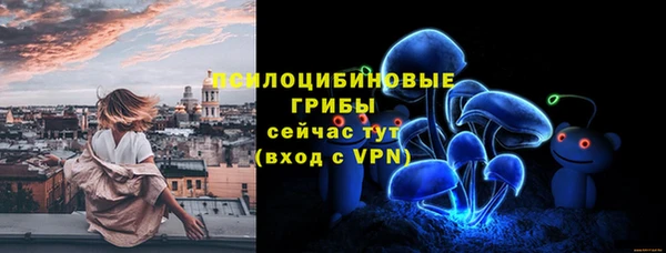 прущие крисы Арсеньев