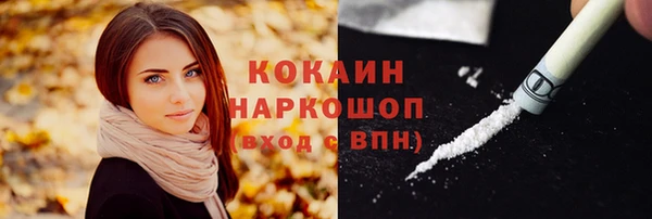 прущие крисы Арсеньев