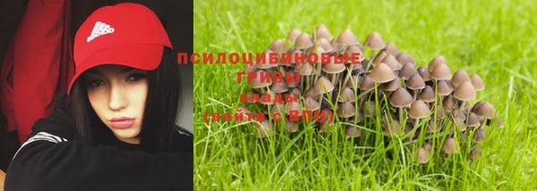 прущие крисы Арсеньев