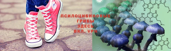 эйфоретик Армянск