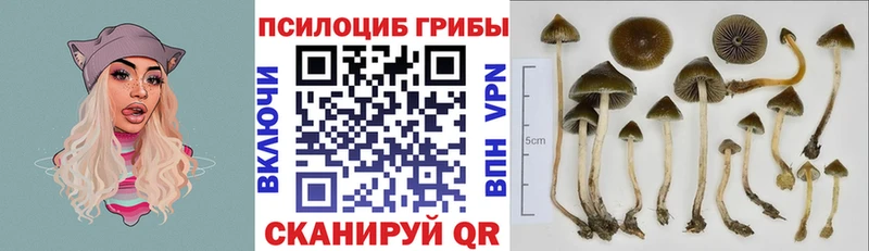 Псилоцибиновые грибы MAGIC MUSHROOMS  что такое наркотик  Рыбное 